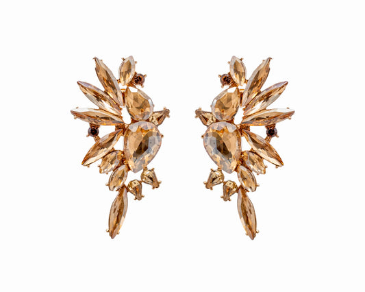 GOLDEN GLOW EARRINGS - Elegancify